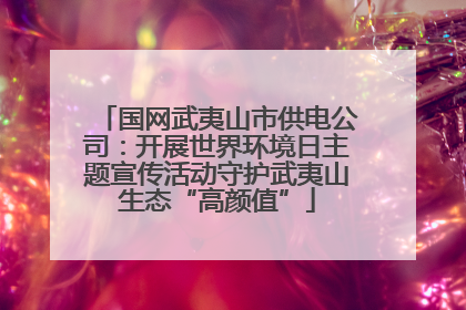 国网武夷山市供电公司：开展世界环境日主题宣传活动守护武夷山生态“高颜值”