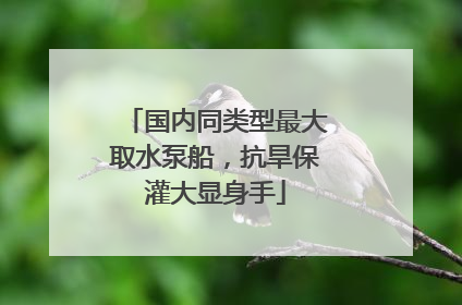 国内同类型最大取水泵船，抗旱保灌大显身手