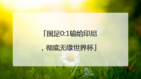 国足0:1输给印尼，彻底无缘世界杯