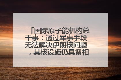 国际原子能机构总干事：通过军事手段无法解决伊朗核问题，其核设施仍具备相关产能，只需要数月就能生产出浓缩铀