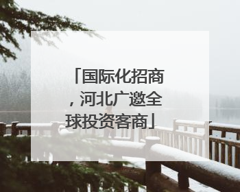 国际化招商，河北广邀全球投资客商