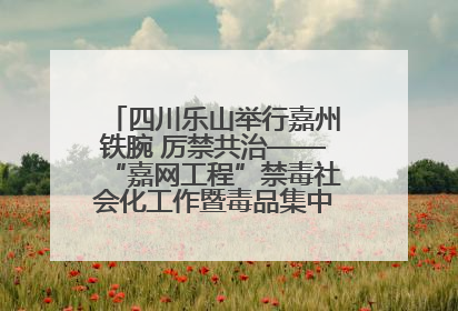 四川乐山举行嘉州铁腕 厉禁共治——“嘉网工程”禁毒社会化工作暨毒品集中销毁启动仪式