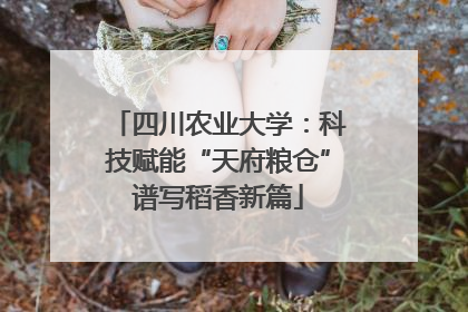 四川农业大学：科技赋能“天府粮仓”谱写稻香新篇