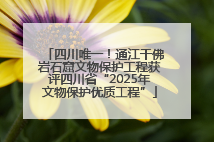 四川唯一！通江千佛岩石窟文物保护工程获评四川省“2025年文物保护优质工程”