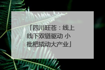 四川旺苍：线上线下双链驱动 小枇杷撬动大产业