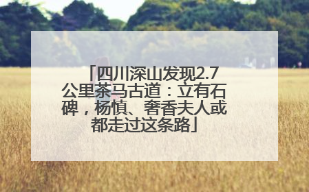 四川深山发现2.7公里茶马古道：立有石碑，杨慎、奢香夫人或都走过这条路