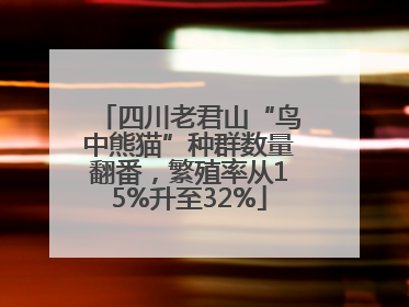四川老君山“鸟中熊猫”种群数量翻番，繁殖率从15%升至32%
