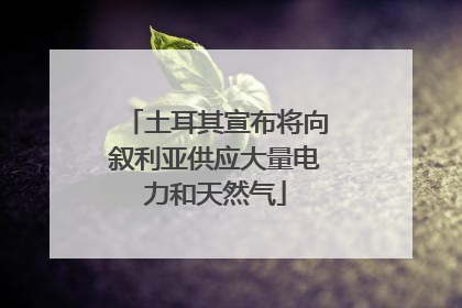 土耳其宣布将向叙利亚供应大量电力和天然气