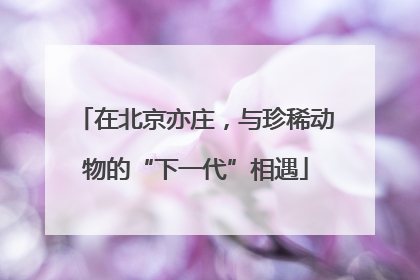 在北京亦庄，与珍稀动物的“下一代”相遇