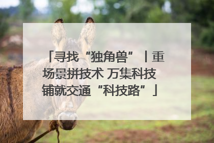 寻找“独角兽”丨重场景拼技术 万集科技铺就交通“科技路”