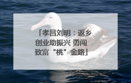 孝昌刘明：返乡创业助振兴 勇闯致富“桃”金路
