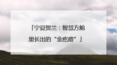 宁夏贺兰：智慧方舱里长出的“金疙瘩”