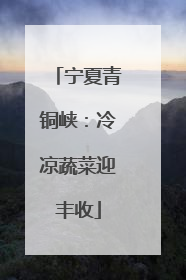 宁夏青铜峡：冷凉蔬菜迎丰收