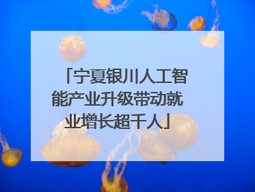 宁夏银川人工智能产业升级带动就业增长超千人