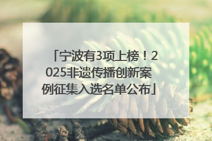 宁波有3项上榜！2025非遗传播创新案例征集入选名单公布