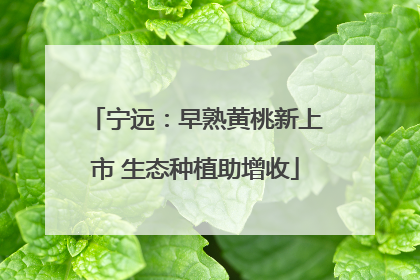 宁远：早熟黄桃新上市 生态种植助增收