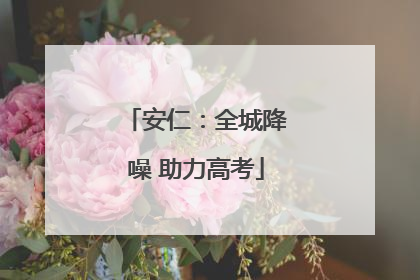 安仁：全城降噪 助力高考