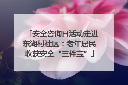安全咨询日活动走进东湖村社区：老年居民收获安全“三件宝”