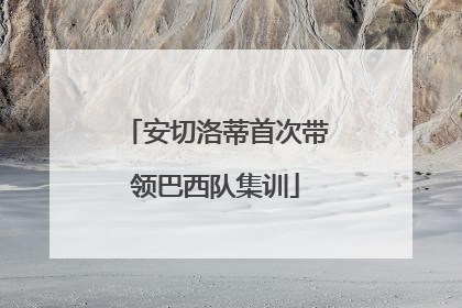 安切洛蒂首次带领巴西队集训