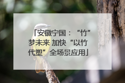 安徽宁国：“竹”梦未来 加快“以竹代塑”全场景应用