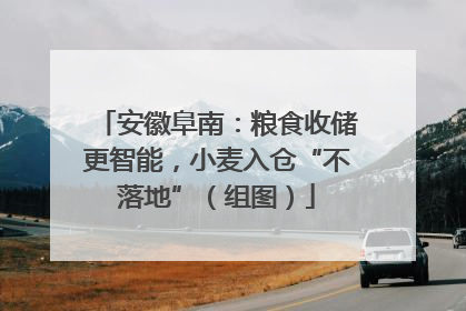 安徽阜南：粮食收储更智能，小麦入仓“不落地”（组图）