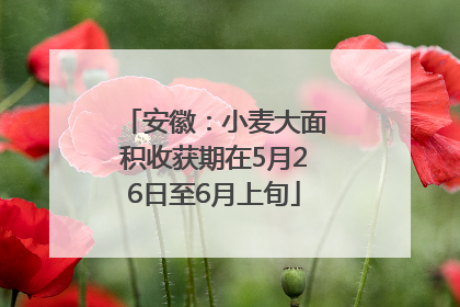 安徽：小麦大面积收获期在5月26日至6月上旬