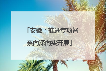 安徽：推进专项督察向深向实开展