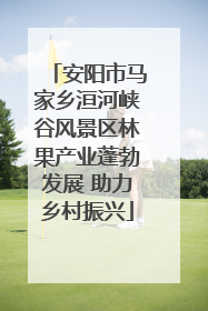 安阳市马家乡洹河峡谷风景区林果产业蓬勃发展 助力乡村振兴