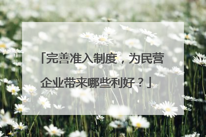 完善准入制度，为民营企业带来哪些利好？