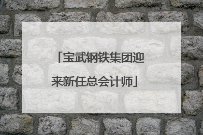 宝武钢铁集团迎来新任总会计师
