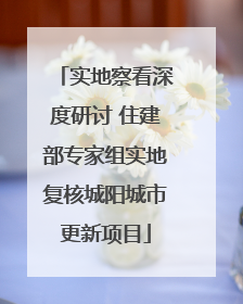实地察看深度研讨 住建部专家组实地复核城阳城市更新项目