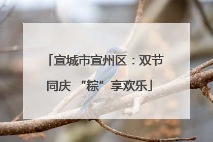 宣城市宣州区：双节同庆 “粽”享欢乐