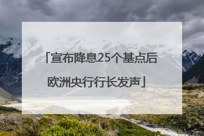 宣布降息25个基点后 欧洲央行行长发声