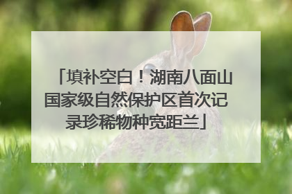 填补空白！湖南八面山国家级自然保护区首次记录珍稀物种宽距兰
