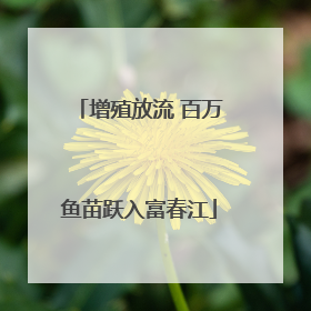 增殖放流 百万鱼苗跃入富春江