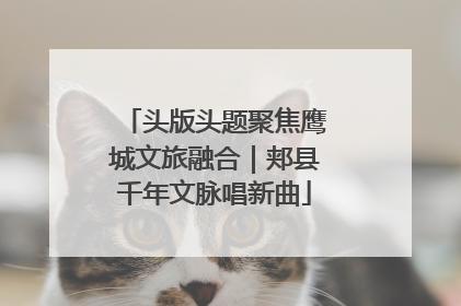 头版头题聚焦鹰城文旅融合｜郏县千年文脉唱新曲