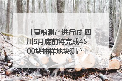 夏粮测产进行时 四川6月底前将完成4500块抽样地块测产
