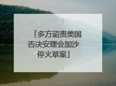 多方谴责美国否决安理会加沙停火草案