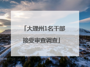 大理州1名干部接受审查调查