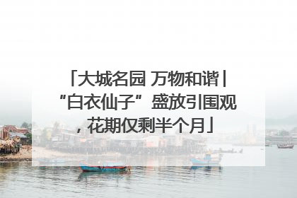 大城名园 万物和谐│“白衣仙子”盛放引围观，花期仅剩半个月