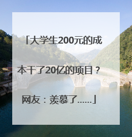 大学生200元的成本干了20亿的项目？网友：羡慕了……
