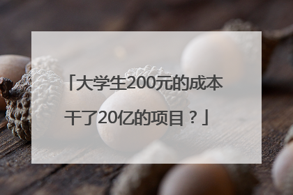 大学生200元的成本干了20亿的项目？