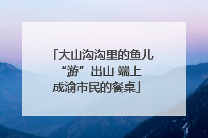 大山沟沟里的鱼儿 “游”出山 端上成渝市民的餐桌