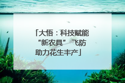 大悟：科技赋能“新农具” 飞防助力花生丰产