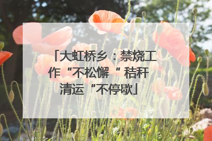 大虹桥乡：禁烧工作“不松懈“ 秸秆清运“不停歇