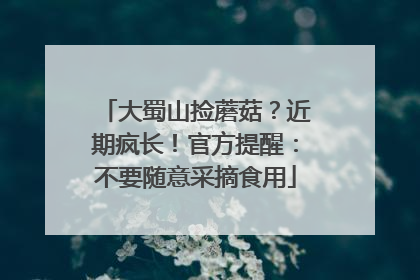 大蜀山捡蘑菇？近期疯长！官方提醒：不要随意采摘食用