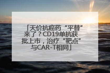 天价抗癌药“平替”来了？CD19单抗获批上市，治疗“靶点”与CAR-T相同