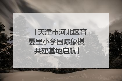 天津市河北区育婴里小学国际象棋共建基地启航