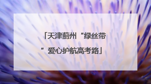 天津蓟州“绿丝带”爱心护航高考路