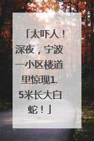 太吓人！深夜，宁波一小区楼道里惊现1.5米长大白蛇！